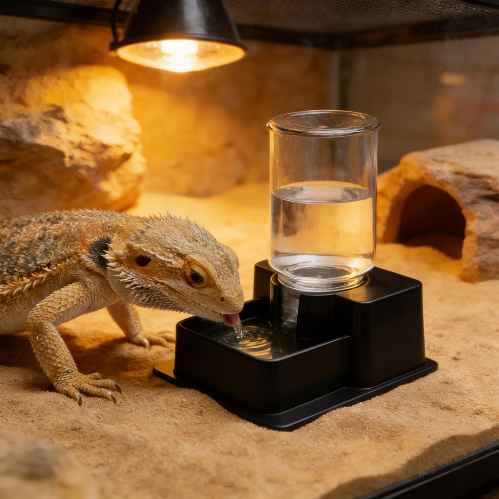 Water Dish Reptile - ヒゲトカゲ用ウォーターファウンテン、爬虫類自動給水器、カメ用ウォーターディッシュ、ヤモリ用ドリンクディスペンサー、トカゲ、カメレオン、ヘビ、カエル用