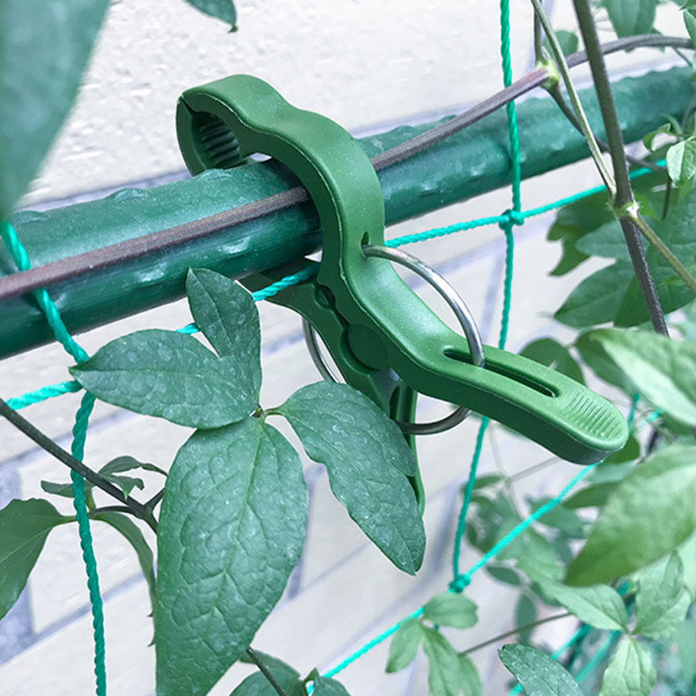 Vine Climbing Plastic - 60個入りガーデン植物クリップ プラスチック製植物サポートクリップ トマト、ブドウ、スイカ、つる性植物、トレリス、支柱、ケージ、花用