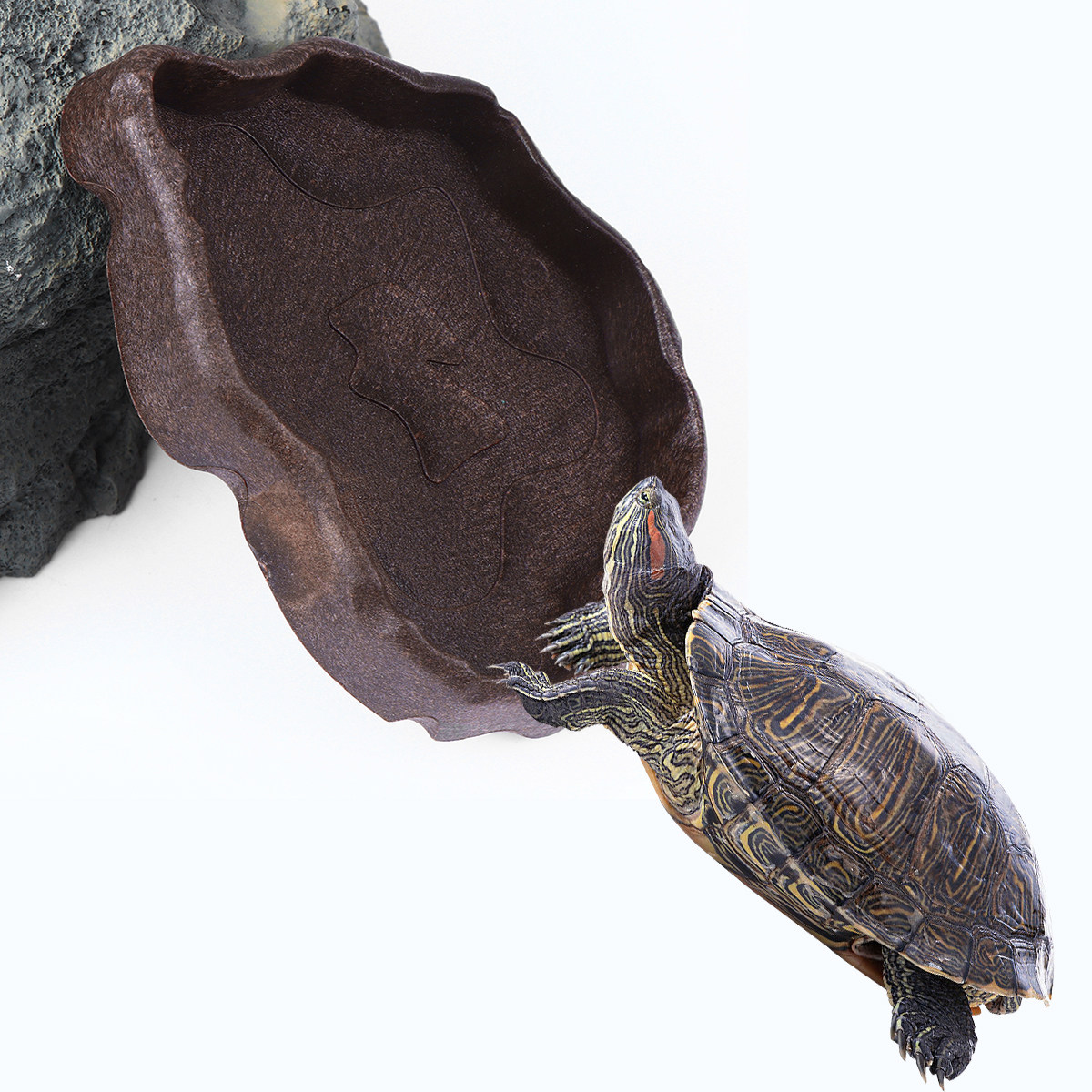爬虫類用樹脂製フードディッシュ コーヒーサイズS 滑り止め付 - Water Dish Reptile のレビューと価格