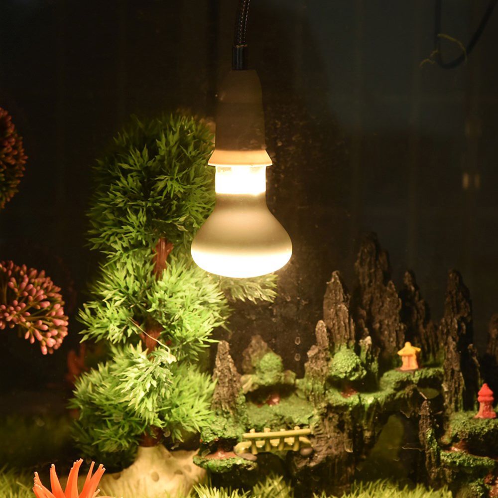 両生類用ヒーターランプ UVAライト 日光浴ライト 爬虫類用 - Basking Bulb Halogen のレビューと価格