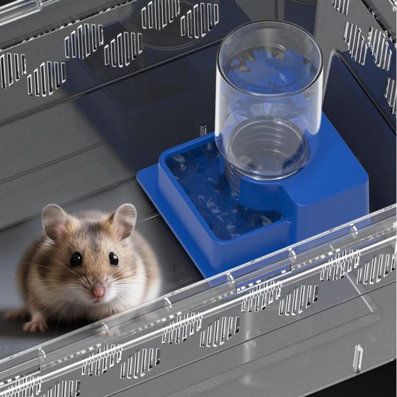 (BF06)爬虫類用自動給水器 ボトル付き 亀、カメ、トカゲ - Water Dish Reptile のレビューと価格