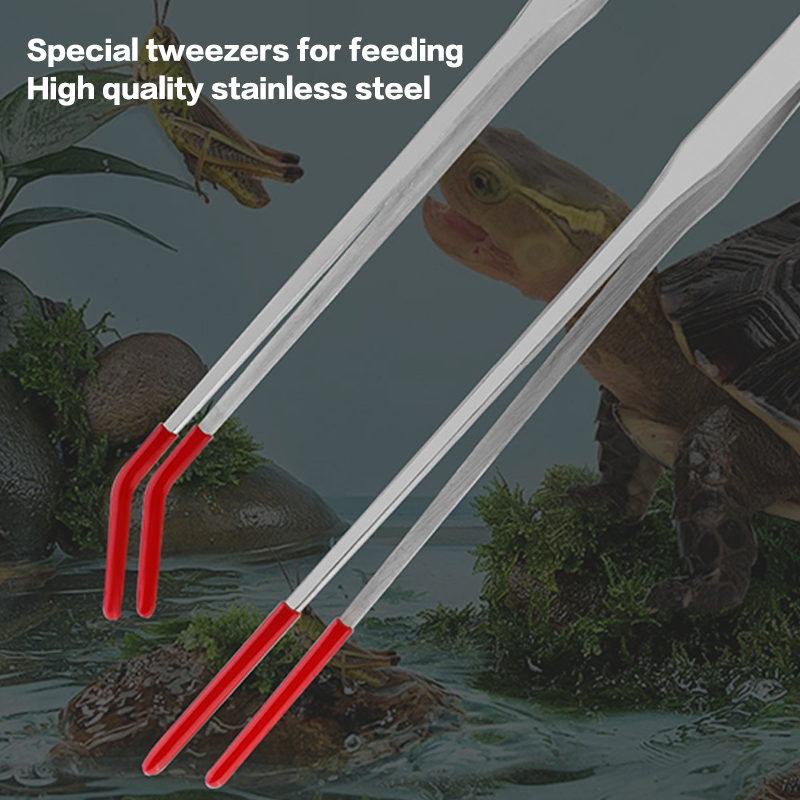 ステンレス製の水槽メンテナンスツール、ゴム製の先端が付いた爬 - Feeding Tong Stainless のレビューと価格