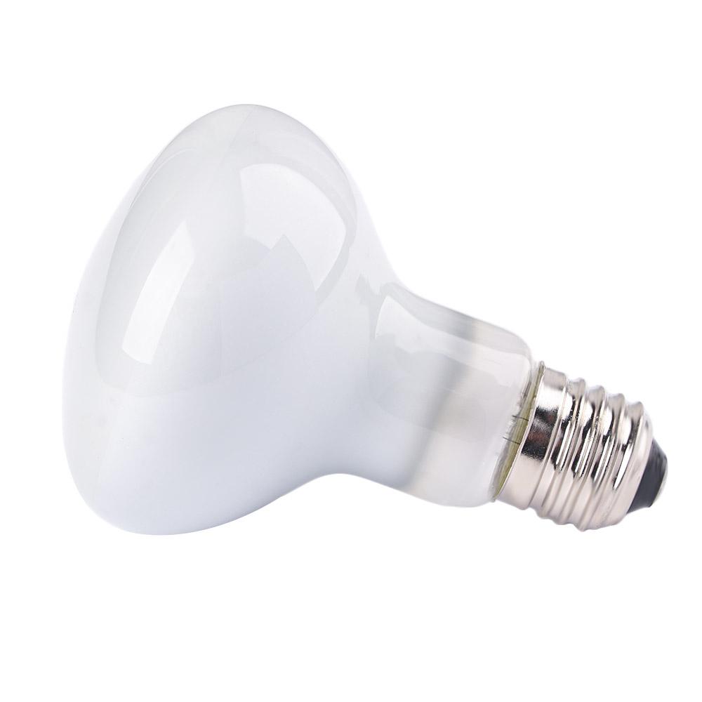 両生類用温度調節器 ヒートランプ ハロゲン電球 UVAライト - Basking Bulb Halogen のレビューと価格