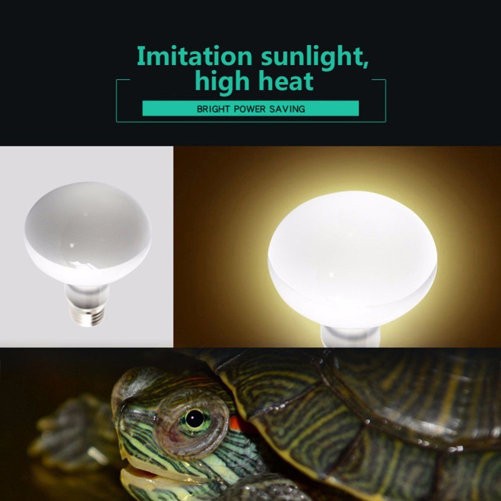両生類用温度調節器 ヒートランプ ハロゲン電球 UVAライト - Basking Bulb Halogen のレビューと価格