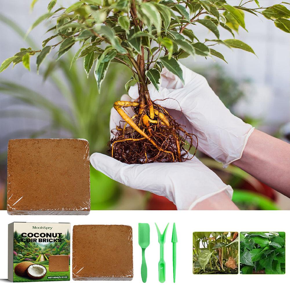 ココナッツコイアファイバーブリック - 有機培養土壌基質、庭 - Substrate Coconut Fiber のレビューと価格