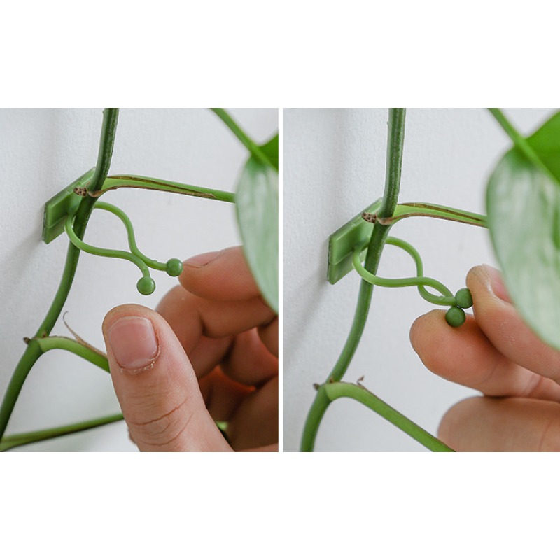10 個植物壁固定フックユニバーサルつる性植物ホルダー家庭用 - Vine Climbing Plastic のレビューと価格