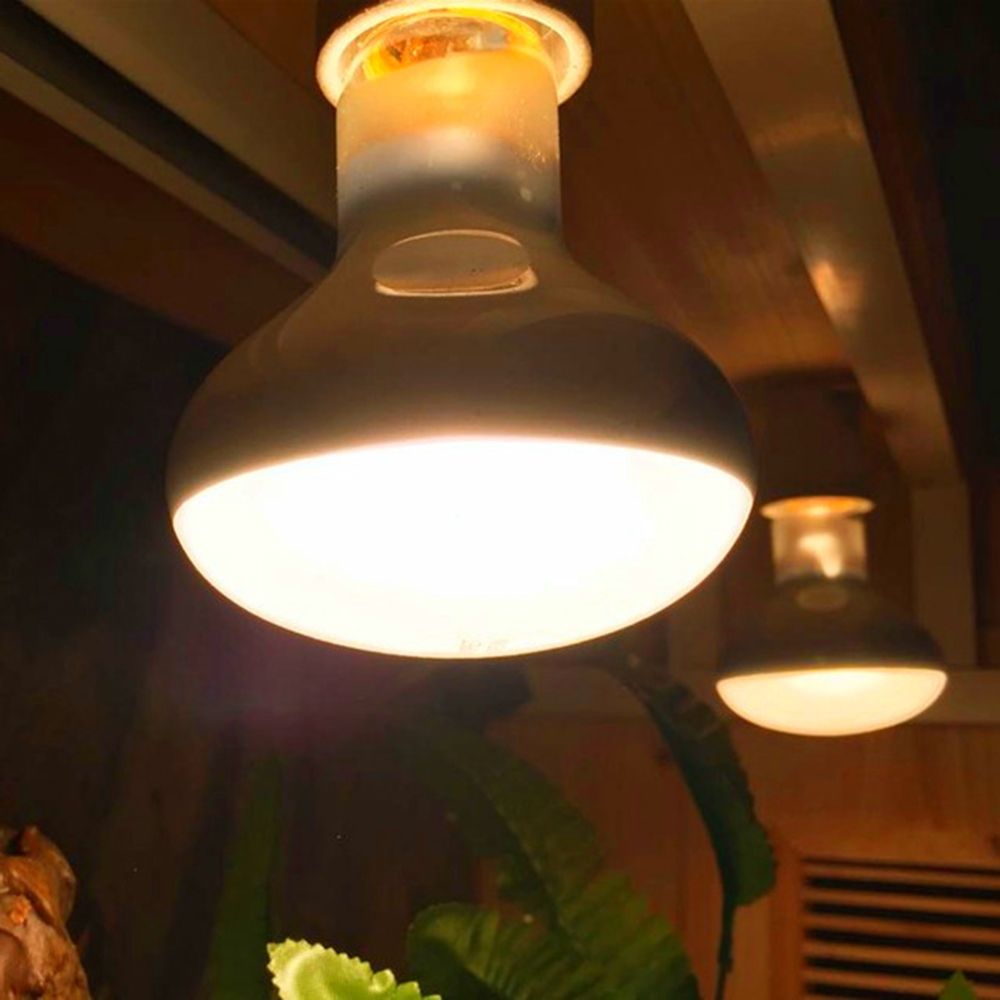 カメ用ヒーター温度調節器 バスキングライト ハロゲン電球 爬 - Basking Bulb Halogen のレビューと価格