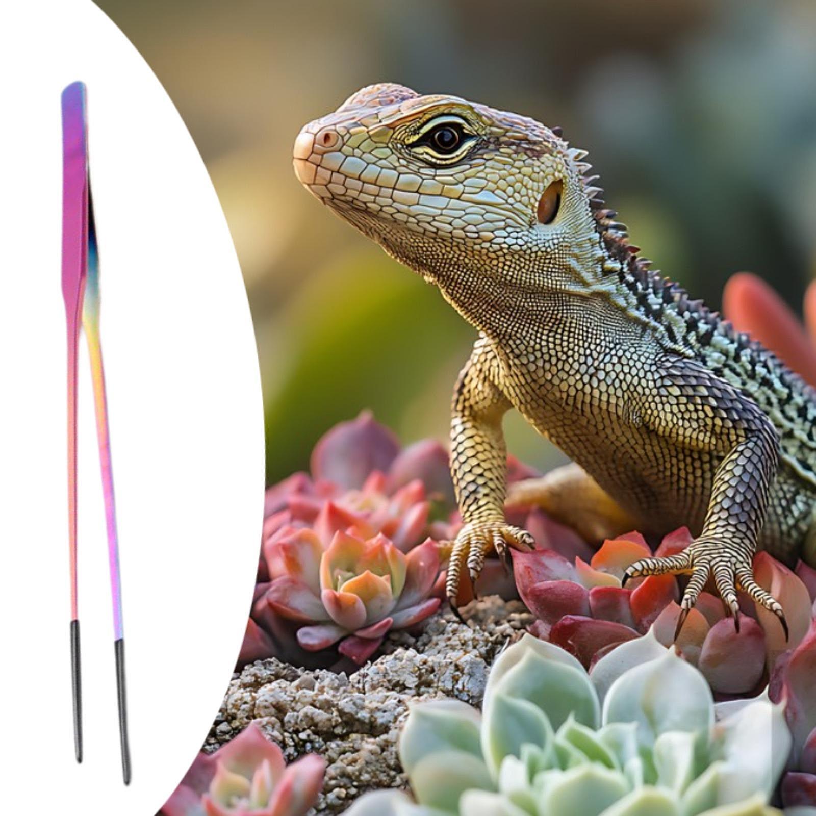 小型ペット用品 爬虫類用餌やりトング ソフトチップ ステンレ - Feeding Tong Stainless のレビューと価格
