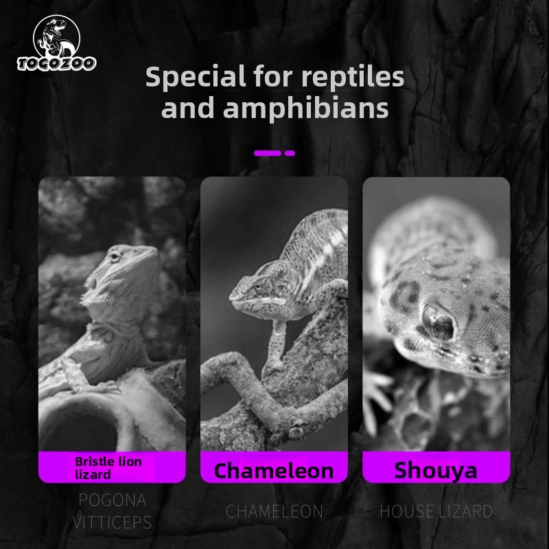 TOGOZOO WILD-VIT 爬虫類カルシウムパウダー  - Calcium Powder Reptile のレビューと価格