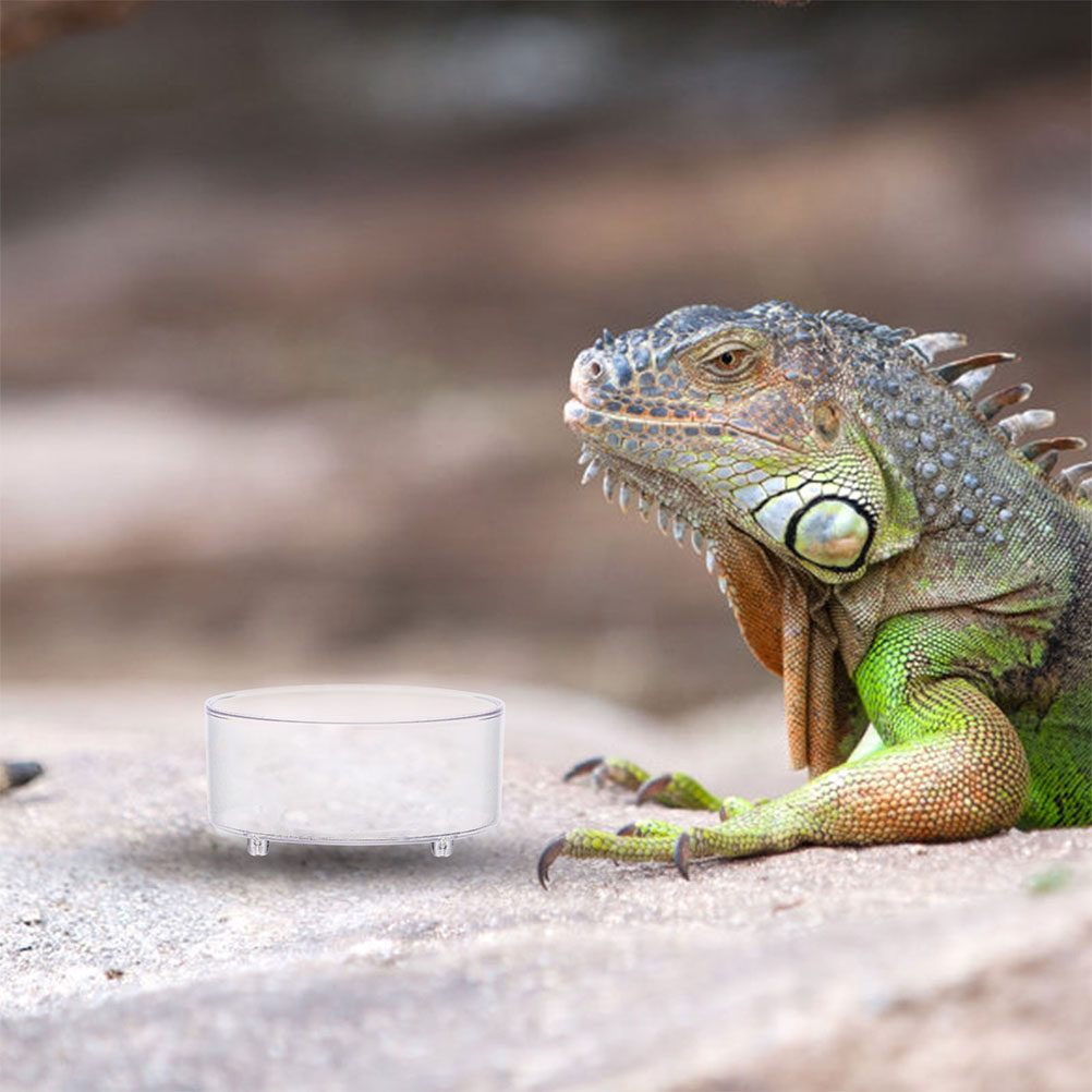 10 個のアクリル爬虫類フードディッシュ給餌ボウル水盆地容器 - Water Dish Reptile のレビューと価格