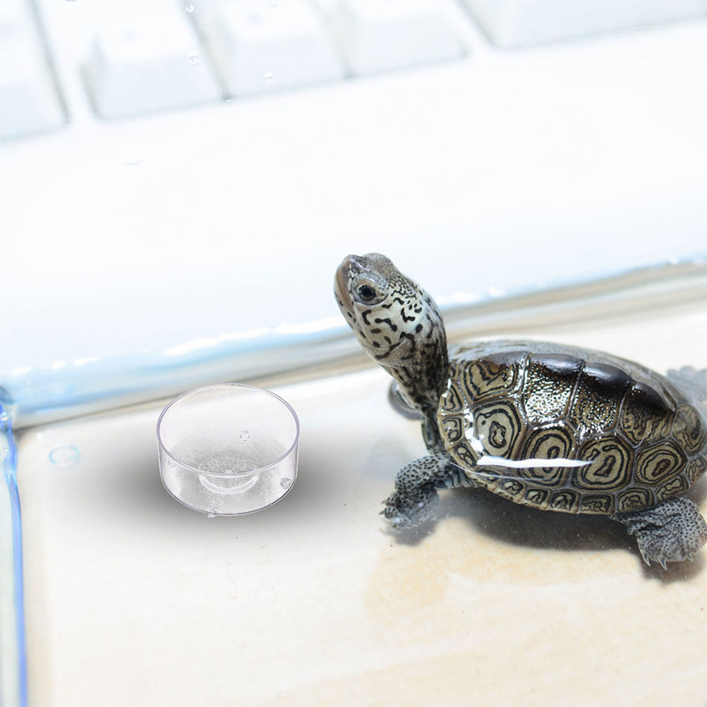 10 個のアクリル爬虫類フードディッシュ給餌ボウル水盆地容器 - Water Dish Reptile のレビューと価格