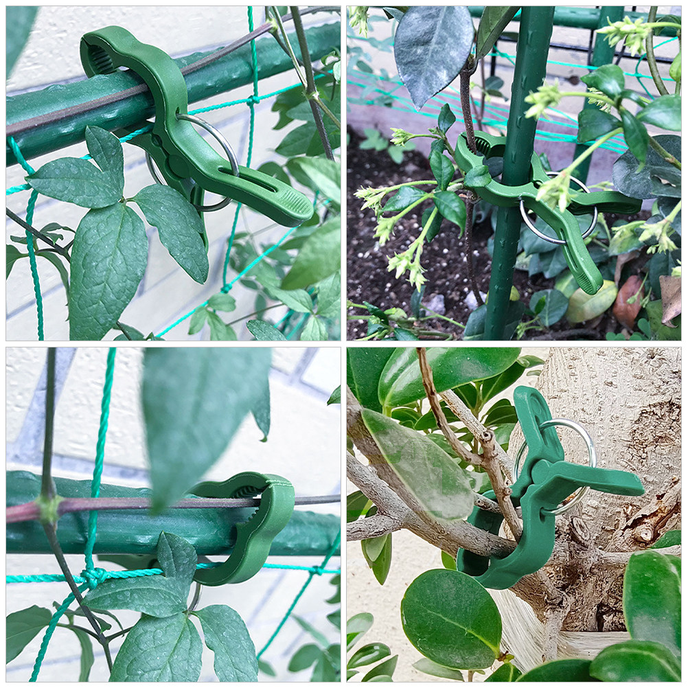 60個入りガーデン植物クリップ プラスチック製植物サポートク - Vine Climbing Plastic のレビューと価格