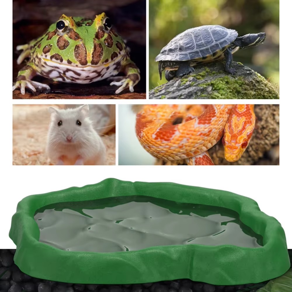 ABS樹脂製爬虫類用給餌ボウル 模造岩デザイン 安全で耐久性 - Water Dish Reptile のレビューと価格