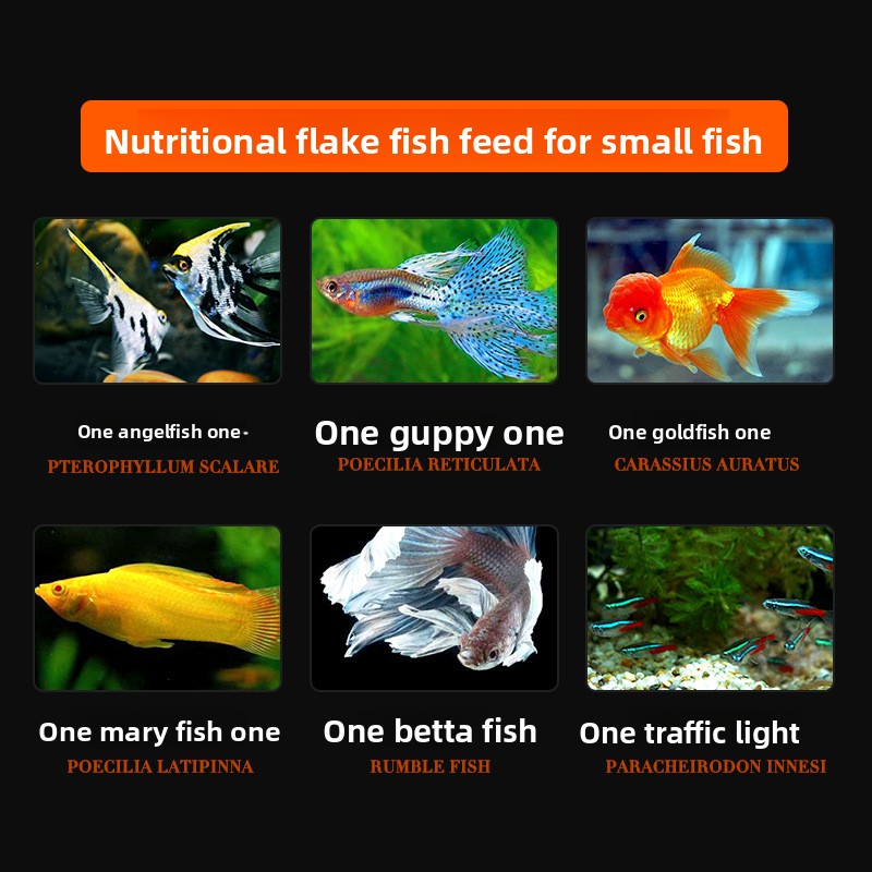 DaJiaWa スピルリナフレーク魚用飼料 小型熱帯魚用 - - Tetra Food Betta Flakes のレビューと価格