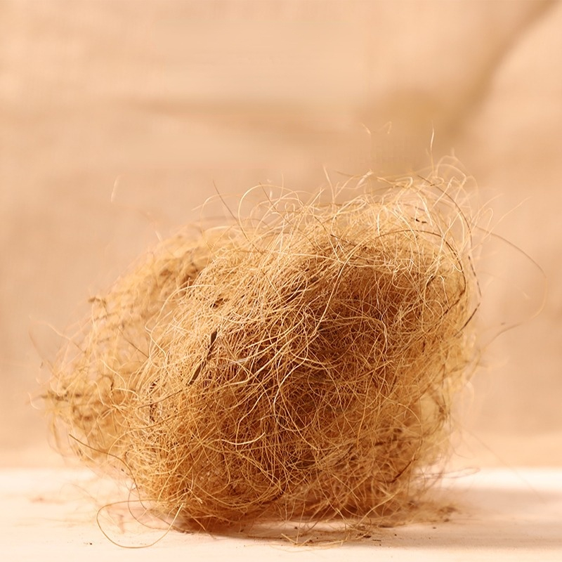 100 グラムフィンチココナッツファイバールース寝具基板鳥の - Substrate Coconut Fiber のレビューと価格