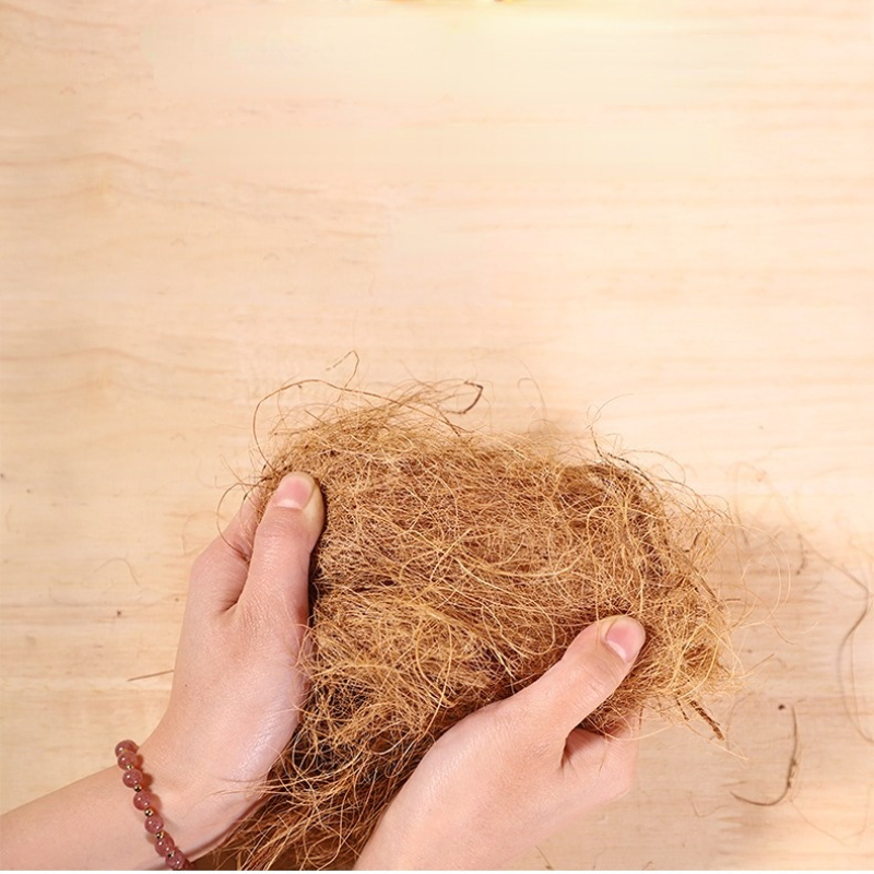 100 グラムフィンチココナッツファイバールース寝具基板鳥の - Substrate Coconut Fiber のレビューと価格