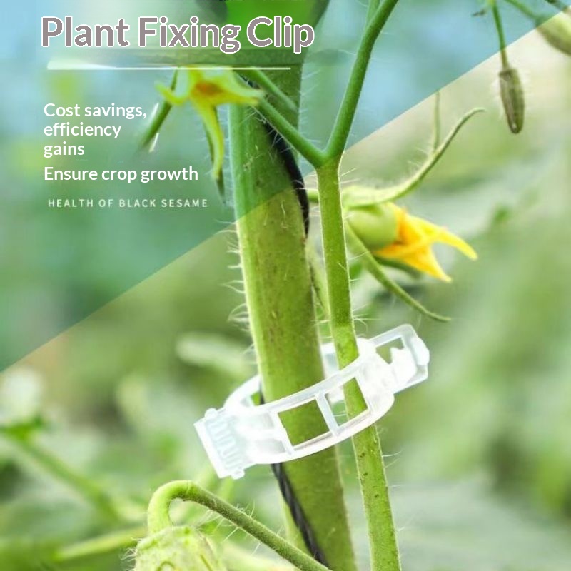 プラスチック製植物サポートクリップ 再利用可能なつる性植物固 - Vine Climbing Plastic のレビューと価格