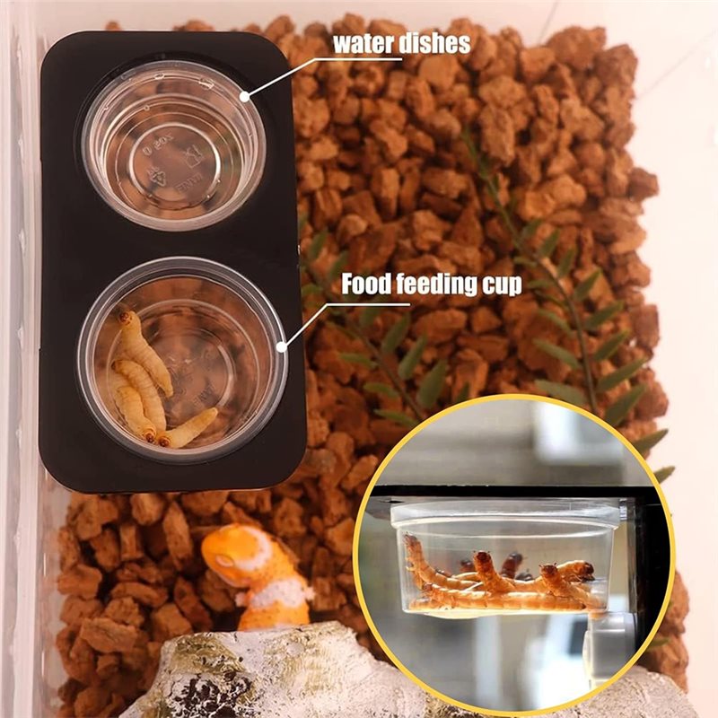 クレステッドゲッコー用フード＆ウォーターフィーディングカップ - Water Dish Reptile のレビューと価格